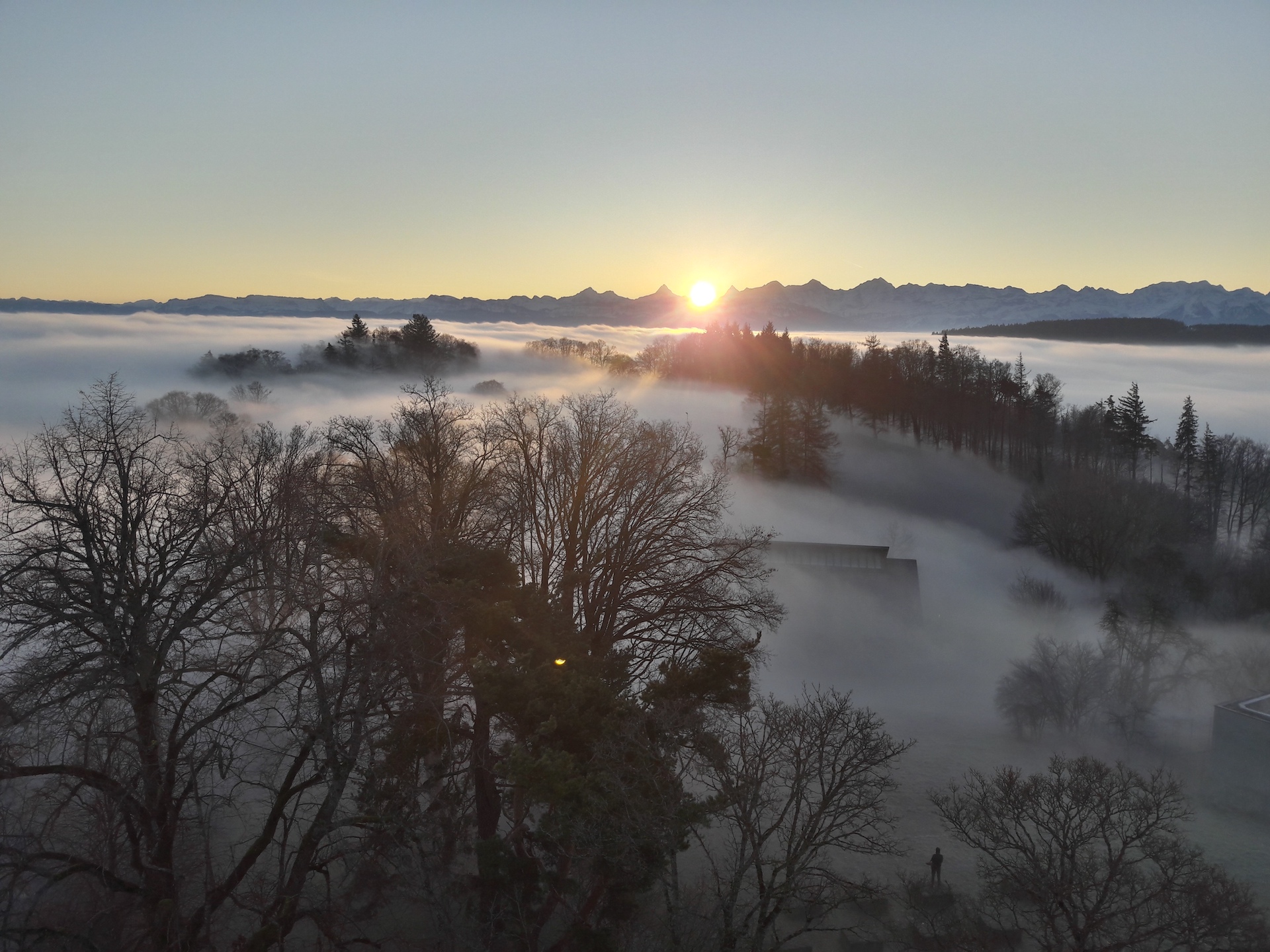 Osteopathische Technik an der Leber, Hands-on Behandlung, professionell